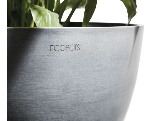 Ecopots Pflanzgefäß mit Pflanzen