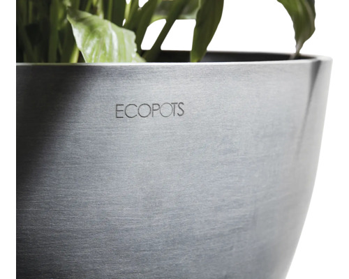 Detailansicht eines Pflanzgefäßes von Ecopots mit Bepflanzung