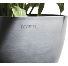 Nahaufnahme eines Pflanzgefäßes mit ECOPOTS Logo