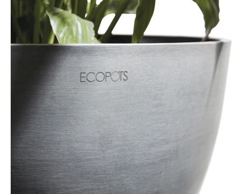 Nahaufnahme eines Pflanzgefäßes mit Ecopots Logo