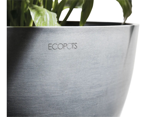 Ecopots Pflanzgefäß mit Pflanze