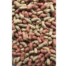 Tierfutter Pellets Nahaufnahme