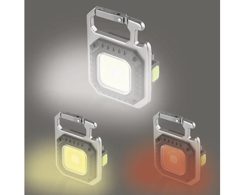 LED Schlüsselanhängerlampe mit Karabiner und verschiedenen Lichtfarben