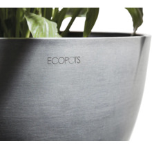 Detailansicht eines ECOPOTS Pflanzgefäßes mit Pflanzen