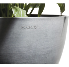 Nahaufnahme eines Blumentopfs mit dem Schriftzug ECOPOTS