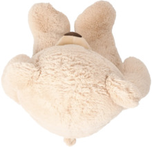 Plüschtier Teddybär von hinten