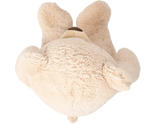Plüschtier Teddybär von hinten