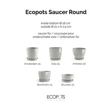 Ecopots Untersetzer rund, verschiedene Modelle