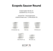 Ecopots Untersetzer Rund in verschiedenen Ausführungen