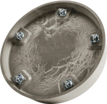 Unterseite eines Blumentopfuntersetzers mit Rollen