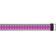 LED-Pflanzenleuchte mit violettem Licht für Pflanzenwachstum