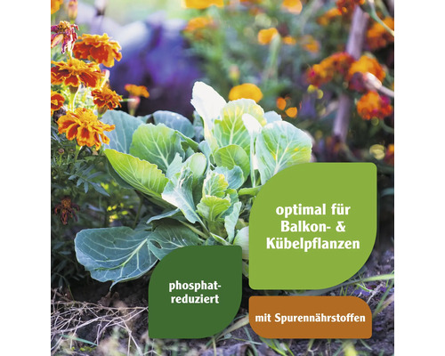 Gemüsebeet mit Pflanzen und Hinweis auf optimale Eignung für Balkon- und Kübelpflanzen, reduziertem Phosphatgehalt und Spurennährstoffen.