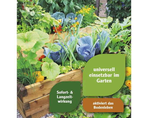 Hochbeet mit verschiedenen Gemüsesorten wie Kohl und Salat