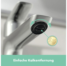 Wasserhahn mit abnehmbarem Strahlregler zur einfachen Entkalkung