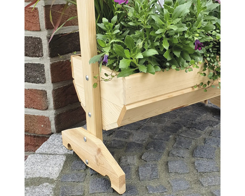 Detailaufnahme eines Blumenkastens aus Holz mit Pflanzen