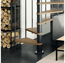 Raumszene mit Spindeltreppe aus Holz und Metall