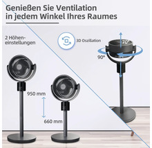 Abbildung eines Standventilators mit zwei Höheneinstellungen und 3D Oszillation