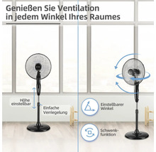 Ventilator mit einstellbarer Höhe und Schwenkfunktion