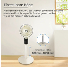 Standventilator mit einstellbarer Höhe von 800 mm bis 1050 mm