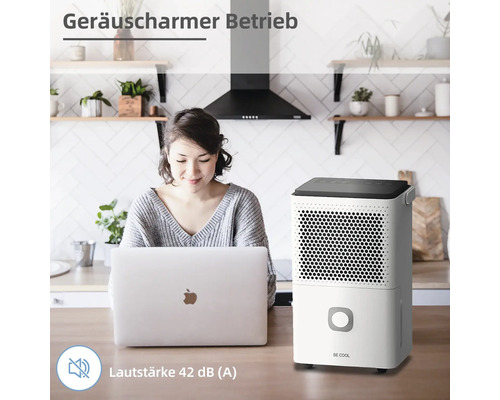 Luftentfeuchter im Wohnraum mit einer Frau die am Laptop arbeitet