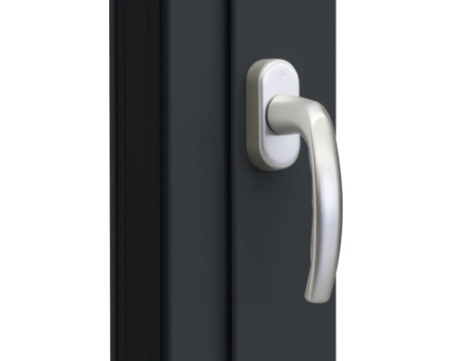 Fenster mit Fenstergriff