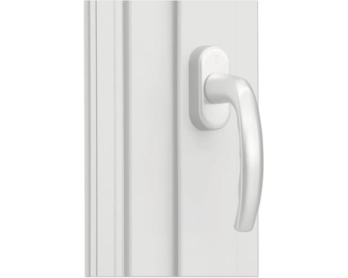 Fenster mit Fenstergriff