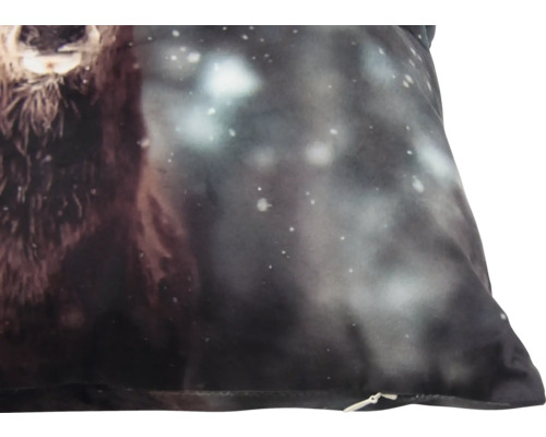 Dekokissen mit Bärenmotiv und Sternenhimmel