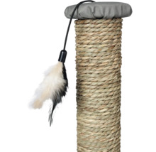 Katzenkratzbaum mit Spielzeug