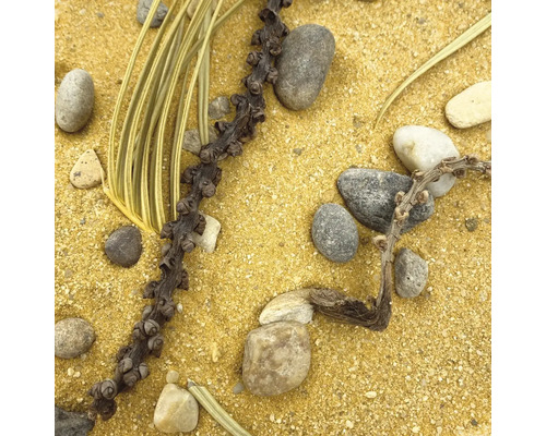 Dekoration mit Sand, Steinen, Pflanzen und Ästen