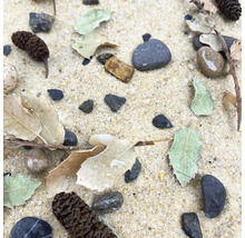 Sand mit Steinen, Blättern, Ästen und Zapfen.
