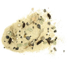 Sand mit Blättern, Steinen und Tannenzapfen