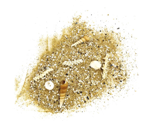 Sand mit Muscheln und kleinen Steinen