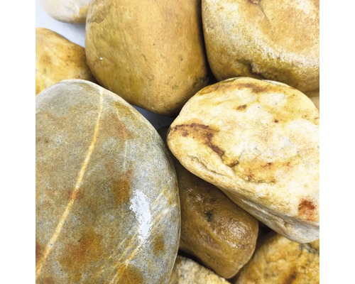 Nahaufnahme von Zierkieseln