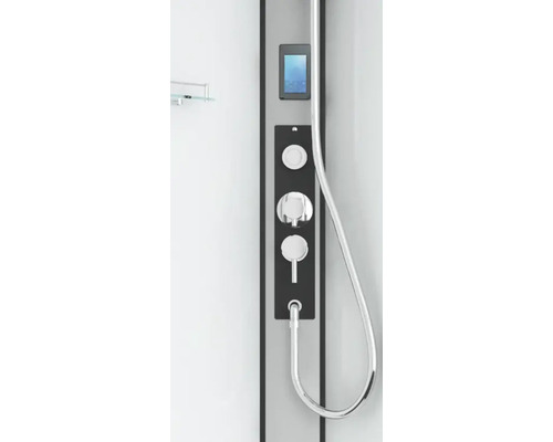 Bedienelemente und Duschkopf einer Duschkabine