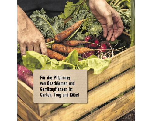 Hände legen Gemüse in Holzkiste für Obstbaum- und Gemüsepflanzen im Garten