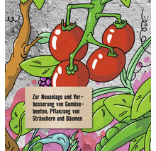 Illustration von Gemüsebeet-Anlage und Pflanzung von Sträuchern und Bäumen