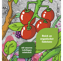 Illustration mit Tomaten, Blättern und der Aufschrift ''Reich an organischer Substanz'' und ''mit unseren Lehrlingen entwickelt''