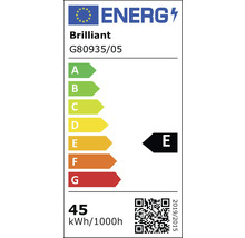 EU-Energielabel für Brilliant G80935/05, Energieeffizienzklasse E, Verbrauch 45 Kilowattstunden pro 1000 Stunden.