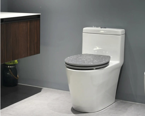 Weißes Stand-WC mit Toilettendeckel im Badezimmer