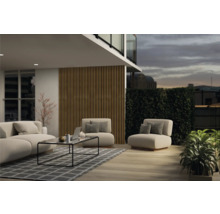 Helle Terrasse mit Sofa, Sesseln, Tisch und Pflanzen