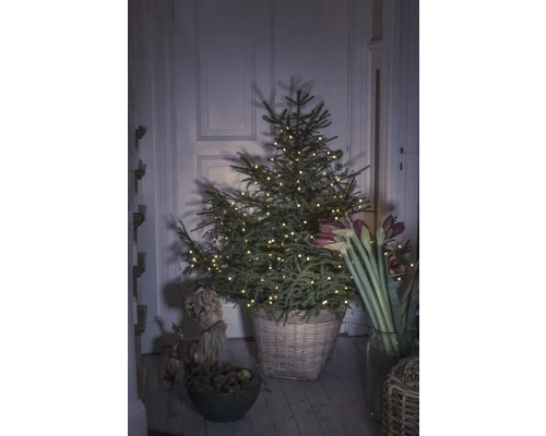 Weihnachtsbaum mit Lichterkette in einem Korb in einem Raum