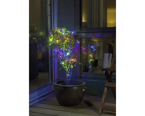 Pflanze im Topf mit Lichterkette auf einem Balkon