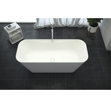 Freistehende Badewanne im Badezimmer mit Armatur, Pflanze und Ablage