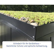 Nahaufnahme eines Gerätehausdachs mit extensiver Dachbegrünung und Kies