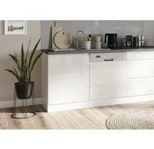 Küchenszene mit Spüle, Geschirrspüler, Küchenutensilien und Zimmerpflanze