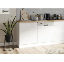 Küchenszene mit Spüle, Armatur, Geschirrspüler und Dekoration