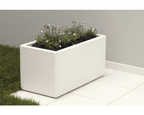 Rechteckiger Pflanzkasten aus Beton mit Bepflanzung im Außenbereich.