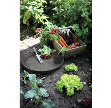 Gartenszene mit geerntetem Gemüse in Holzkiste und Pflanzschale mit Gartenwerkzeug.