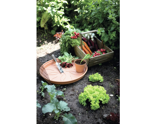 Gemüsegarten mit Erntekiste, Anzuchtschale, Schaufel, Pflanze und Salat