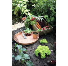 Gemüsegarten mit Gemüsekorb, Pflanzschale, Pflanzwerkzeug und Salatpflanzen